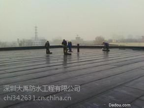 南湾大禹防水补漏工程与南湾厂房地坪漆订购施工 专业品质与高效服务